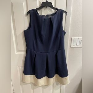 Closet Curves Navy Tea Length Dress